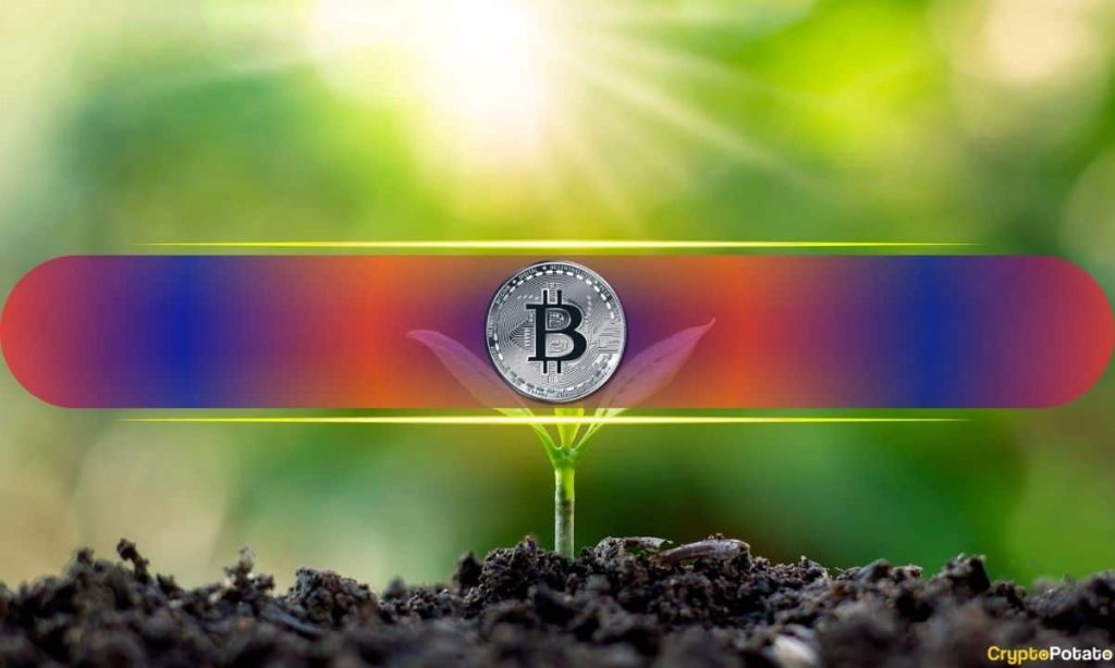 Why It Matters for BTC's Price